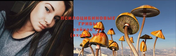 прущая мука Михайлов