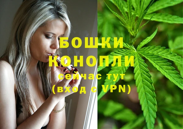 ГАЛЛЮЦИНОГЕННЫЕ ГРИБЫ Бронницы