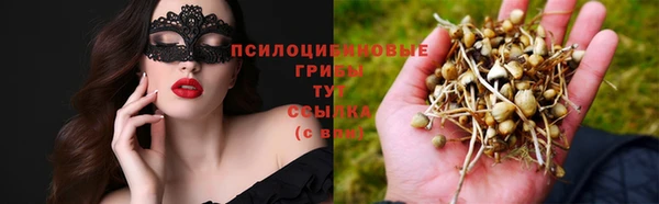 spice Михайловск